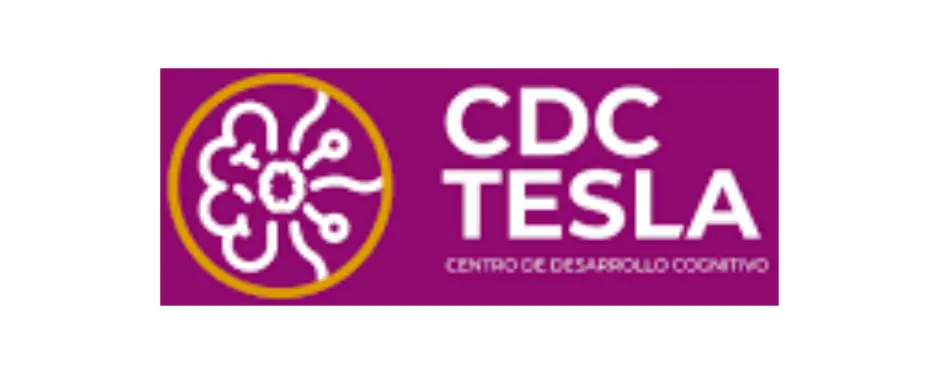 ISO 9001 Tesla
