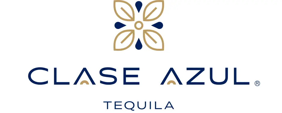 ISO 9001 Clase Azul