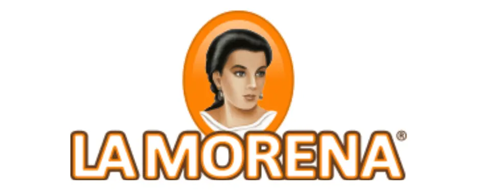 ISO 9001 La Morena